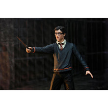 Load image into Gallery viewer, NECA - Harry Potter - 7" Scale Action Figure - Legacy Collection Harry Potter
