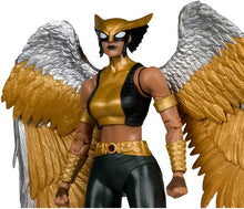Load image into Gallery viewer, McFarlane Collector Edition #63 DC Multiverse Hawkgirl Kendra Saunders 7"Figure