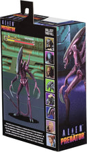 Load image into Gallery viewer, NECA Alien vs Predator 7-Inch Scale Arcade Razor Claws Action Figure
