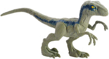 Load image into Gallery viewer, Jurassic World Dino Rivals Velociraptor Blue Action Figure
