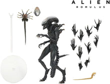 Load image into Gallery viewer, NECA Alien: Romulus Scorched Xenomorph Ultimate Action Figure
