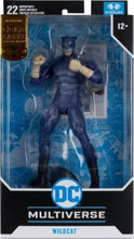 Load image into Gallery viewer, DC Multiverse Wildcat Gold Label DC Comics Exclusive Action Figure
