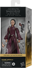 Load image into Gallery viewer, STAR WARS The Black Series Padmé Amidala The Phantom Menace Figure
