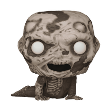 Load image into Gallery viewer, Funko Pop!The Haunting of Hill House Basement Ghost Figure Exclusive #1490
