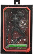 Load image into Gallery viewer, NECA Alien: Romulus Scorched Xenomorph Ultimate Action Figure
