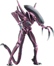 Load image into Gallery viewer, NECA Alien vs Predator 7-Inch Scale Arcade Razor Claws Action Figure
