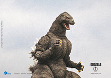 Load image into Gallery viewer, Hiya Toys Godzilla vs King Ghidorah - Exquisite Basic - Hokkaido Px Action Figure
